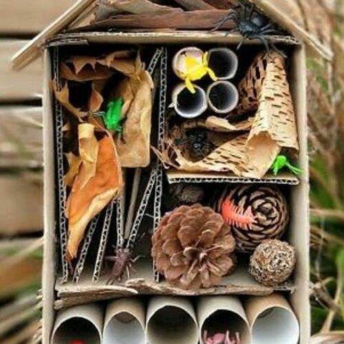 Bug Hotel